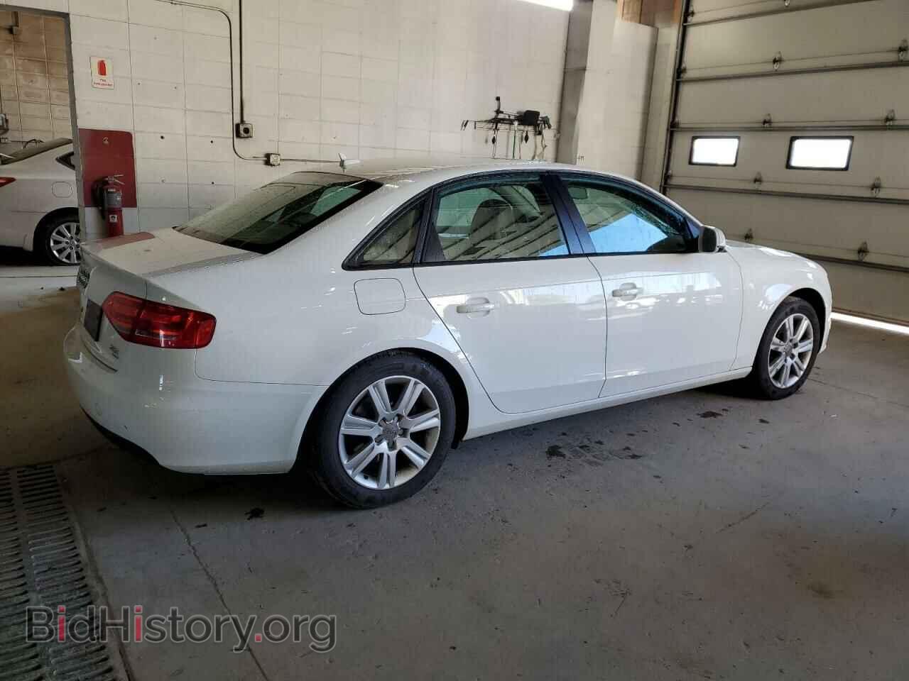 2010 AUDI A4 - VIN: WAUBFAFL5AN042034 - Фото 3