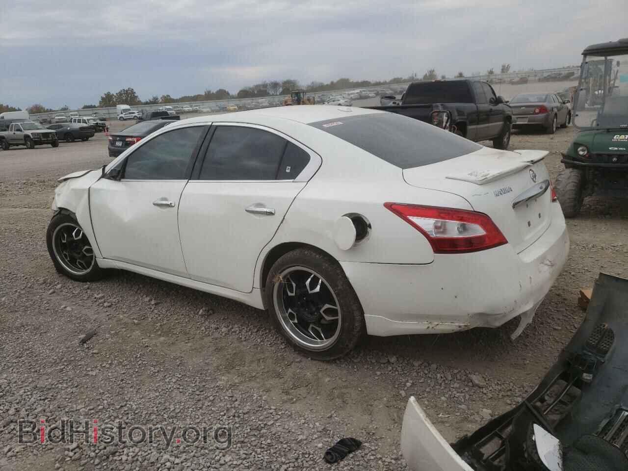 2010 NISSAN MAXIMA - VIN: 1N4AA5AP1AC818997 - Фото 2