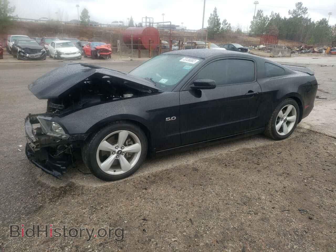 Фотография 1ZVBP8CF9E5319357 - FORD MUSTANG 2014