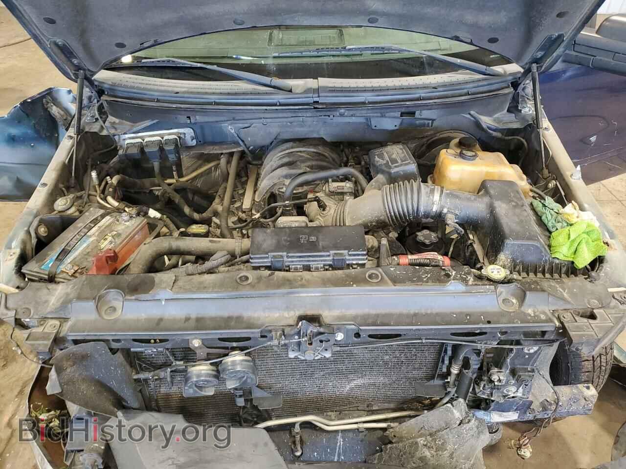 2009 FORD All Models - VIN: 1FTRF12809KA69559 - Фото 11