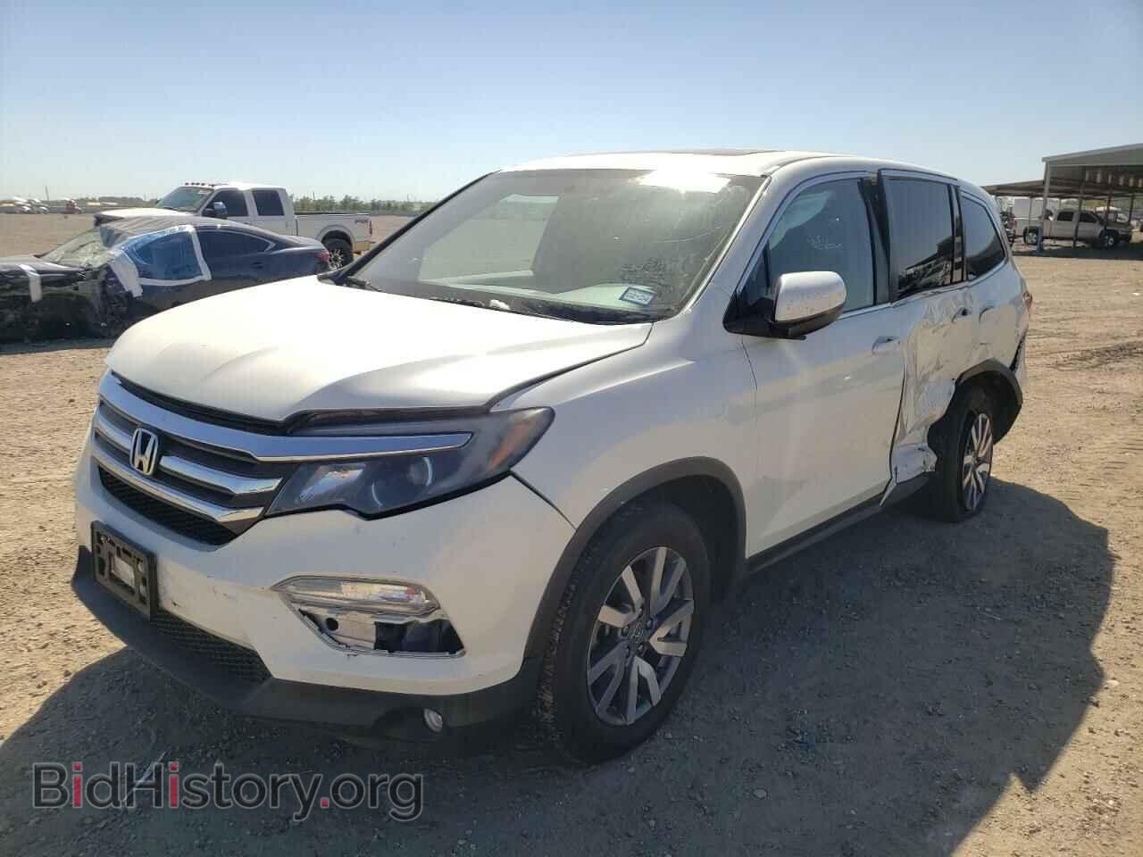 Фотография 5FNYF6H72HB102631 - HONDA PILOT 2017