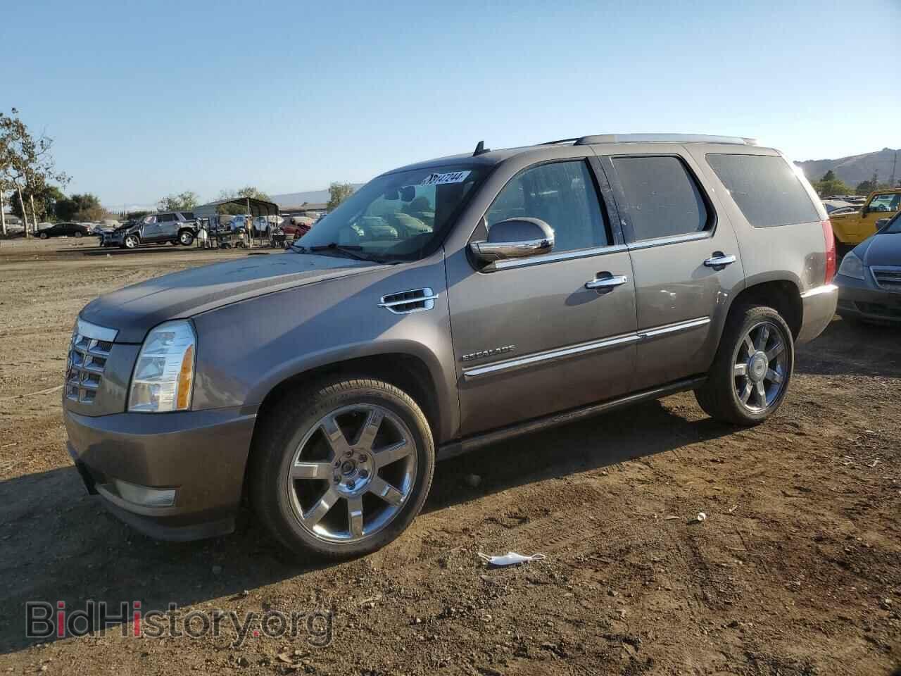 Фотография 1GYS4CEF5BR289333 - CADILLAC ESCALADE 2011
