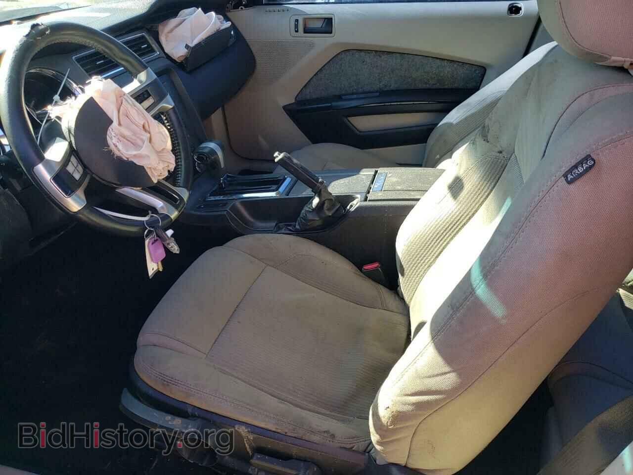 2010 FORD MUSTANG - VIN: 1ZVBP8AN8A5125861 - Фото 7