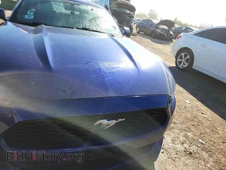 2015 Ford MUSTANG (VIN 1FA6P8TH6F5309687) — photo 13 of 14