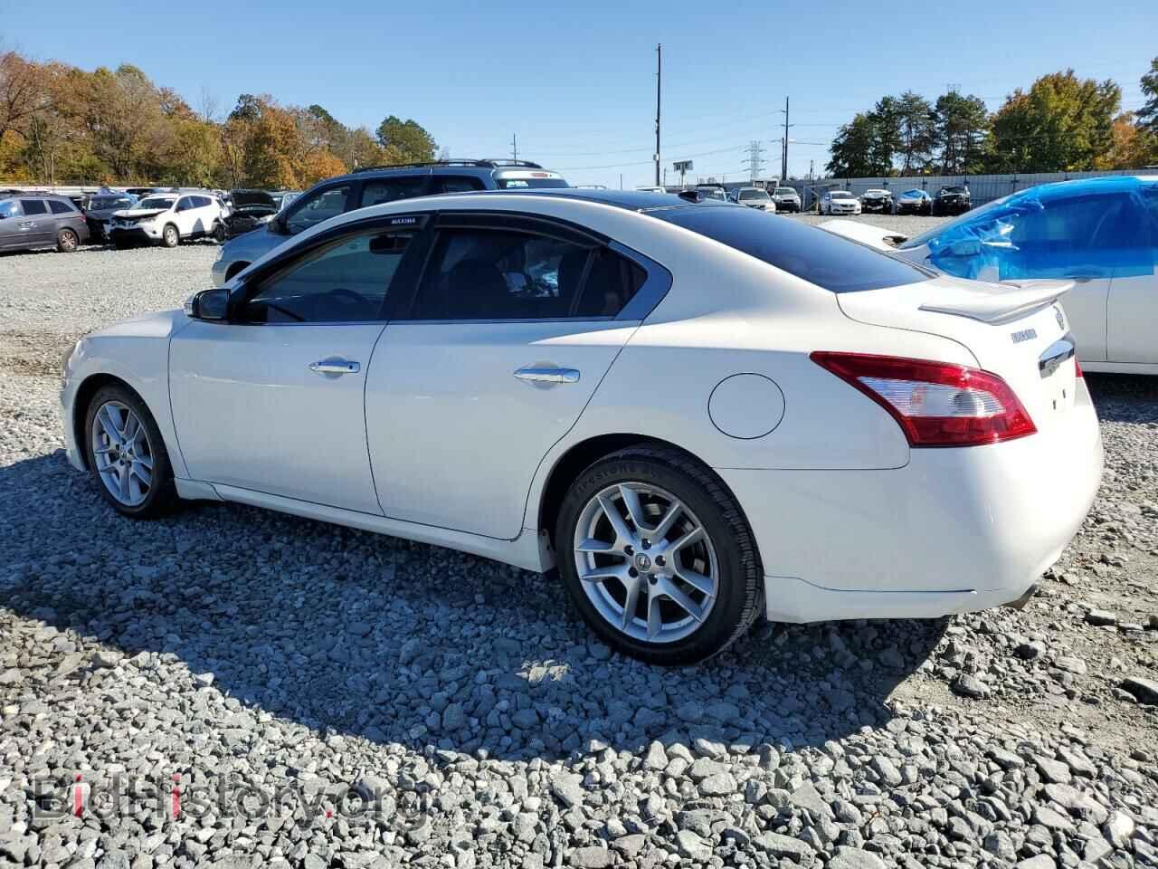 2009 NISSAN MAXIMA - VIN: 1N4AA51E79C856566 - Фото 2