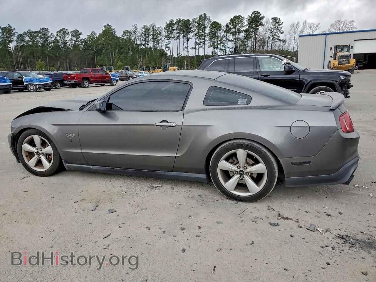 2012 FORD MUSTANG - VIN: 1ZVBP8CF2C5284769 - Фото 2