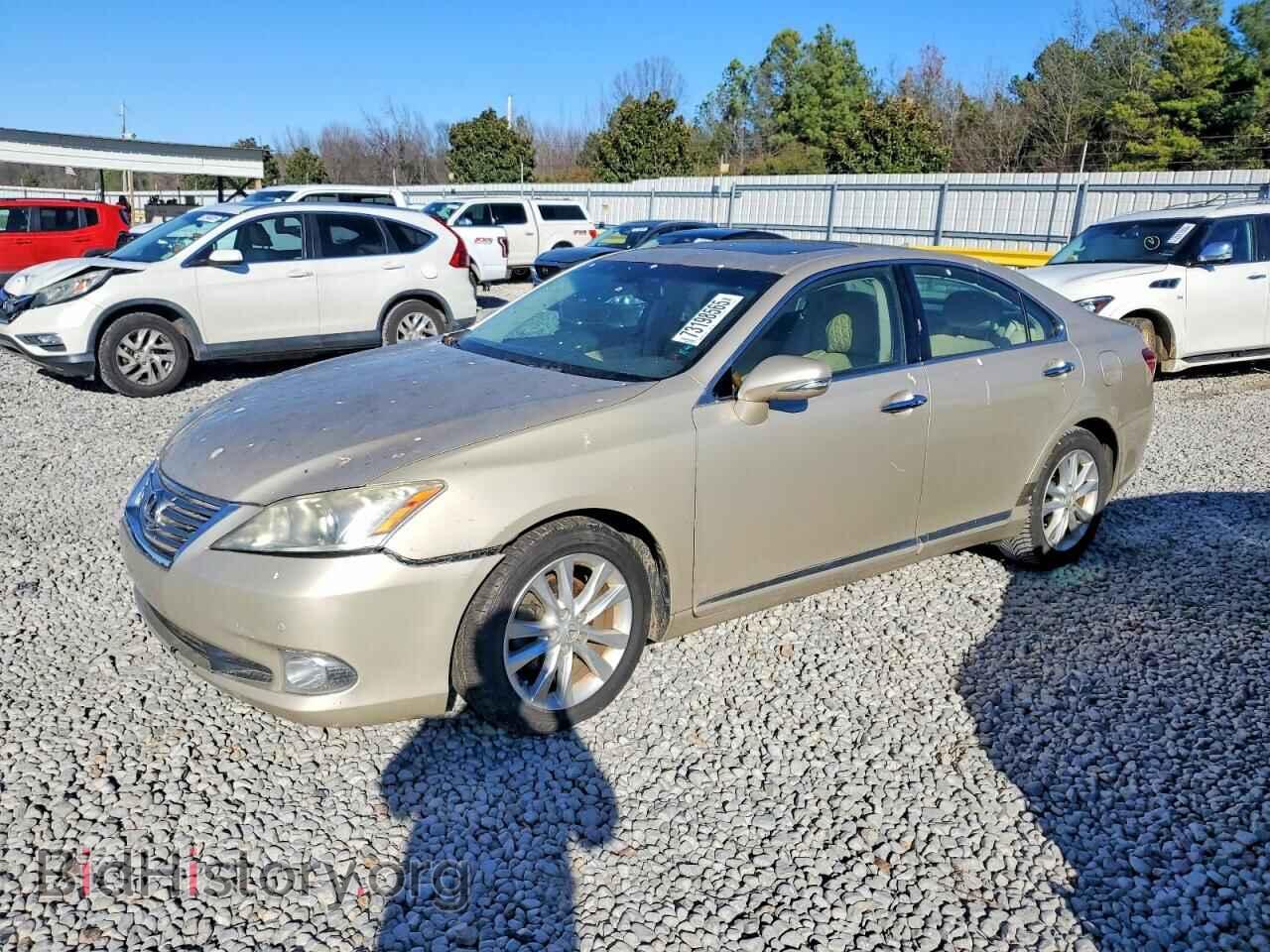 Фотография JTHBK1EG4A2392192 - LEXUS ES350 2010