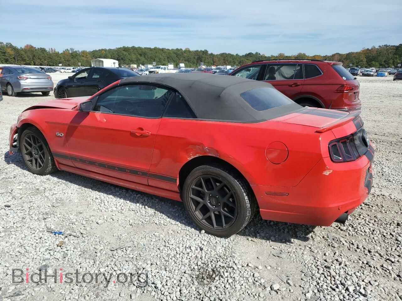 2013 FORD MUSTANG - VIN: 1ZVBP8FF2D5226142 - Фото 2