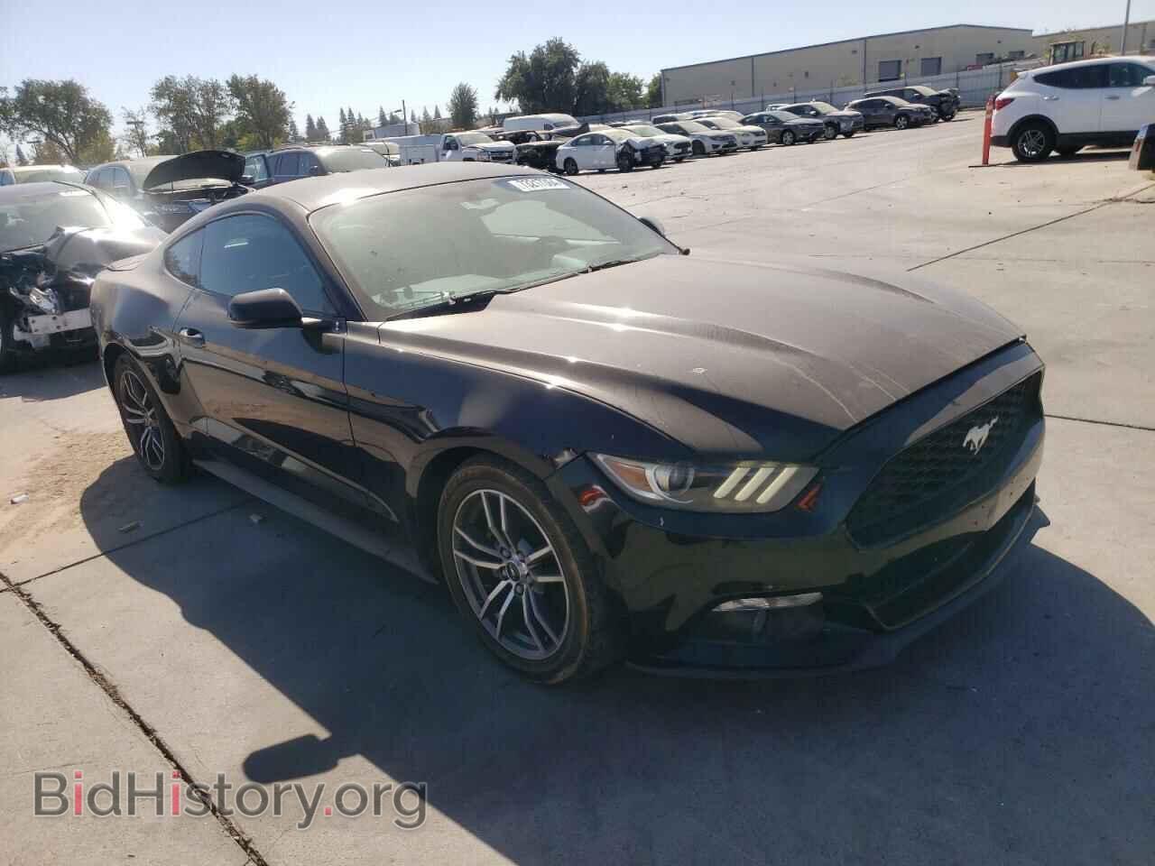 2017 FORD ALL Models - VIN: 1FA6P8TH5H5205632 - Фото 4