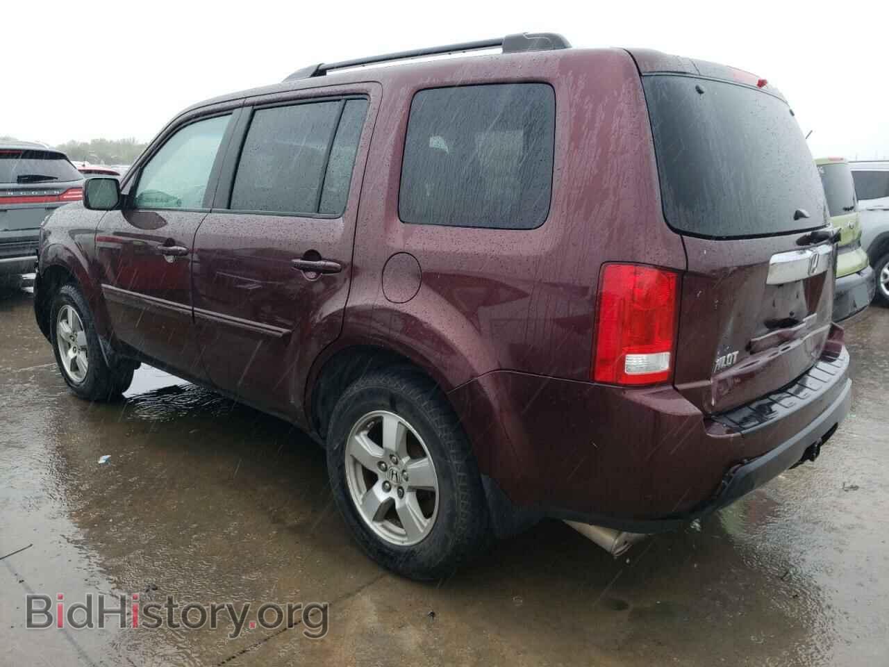 2009 HONDA PILOT - VIN: 5FNYF38569B002434 - Фото 2