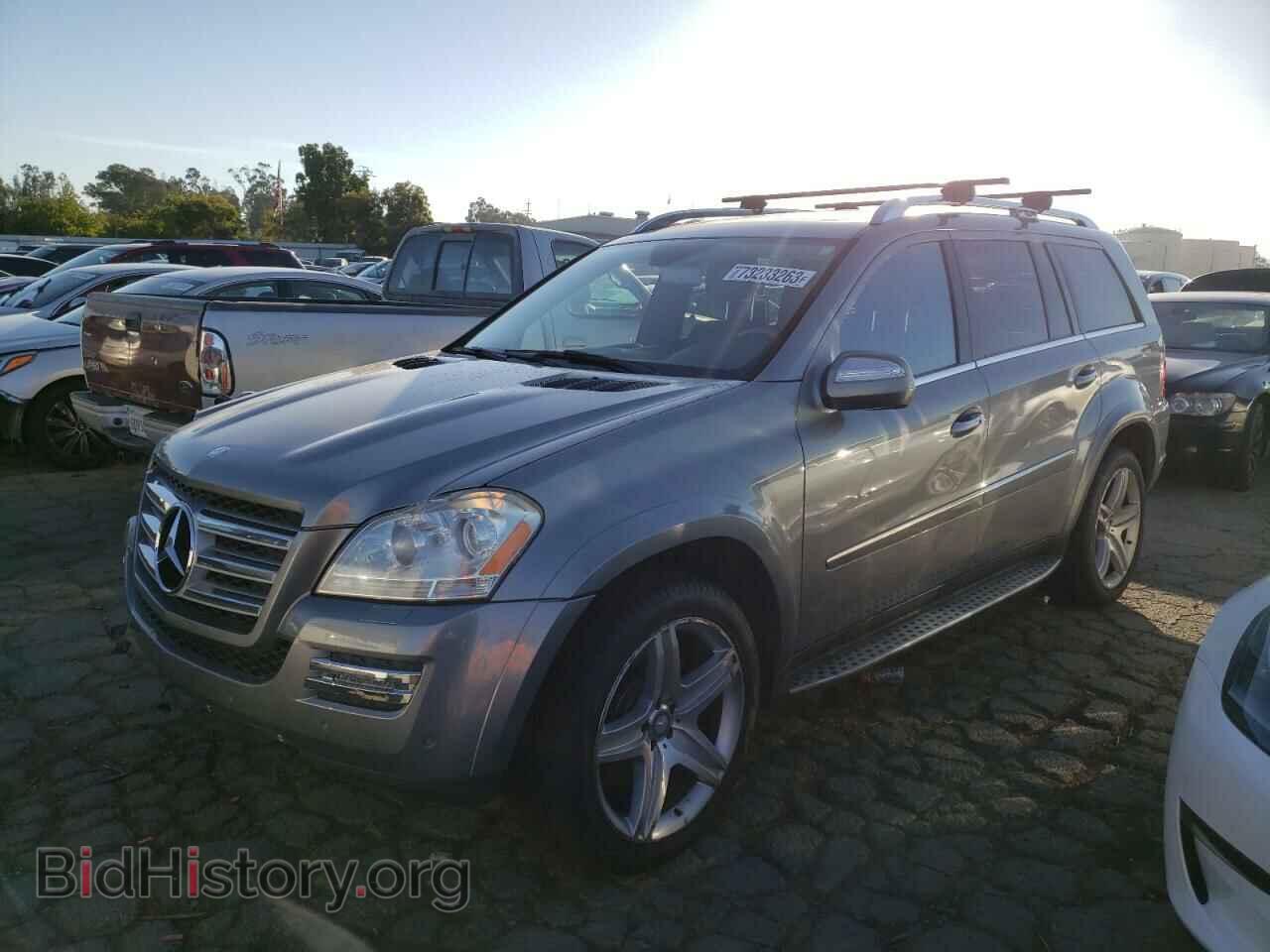Photo 4JGBF8GE4AA599080 - MERCEDES-BENZ GL-CLASS 2010