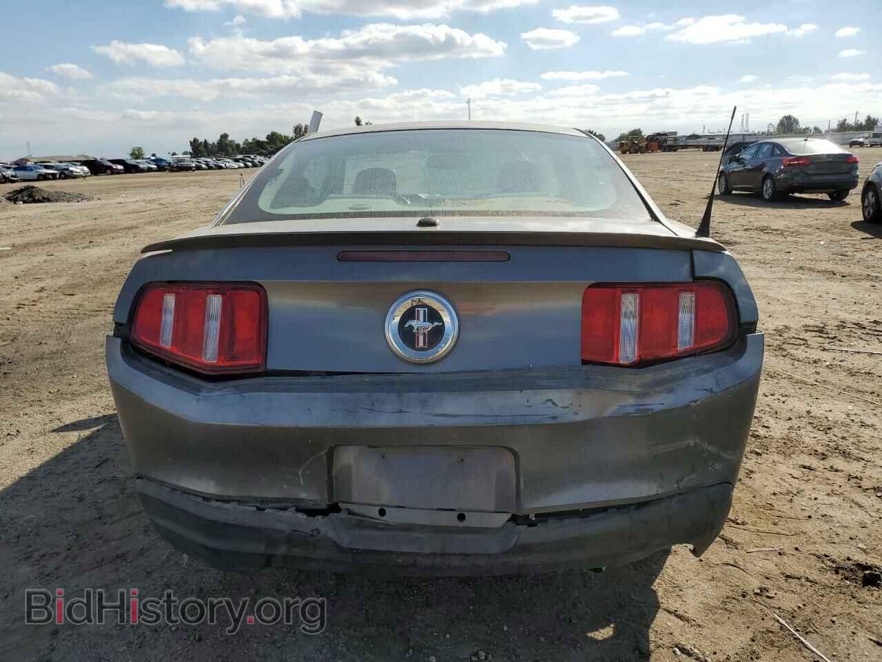 2010 FORD ALL Models - VIN: 1ZVBP8AN5A5108287 - Фото 6