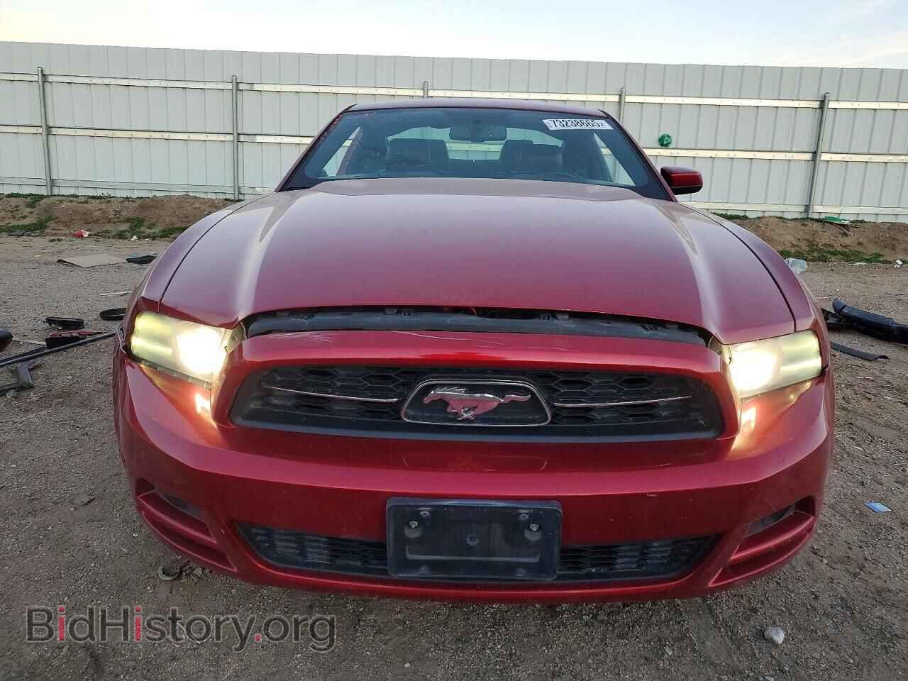 2013 FORD ALL Models - VIN: 1ZVBP8AM2D5213817 - Photo 5
