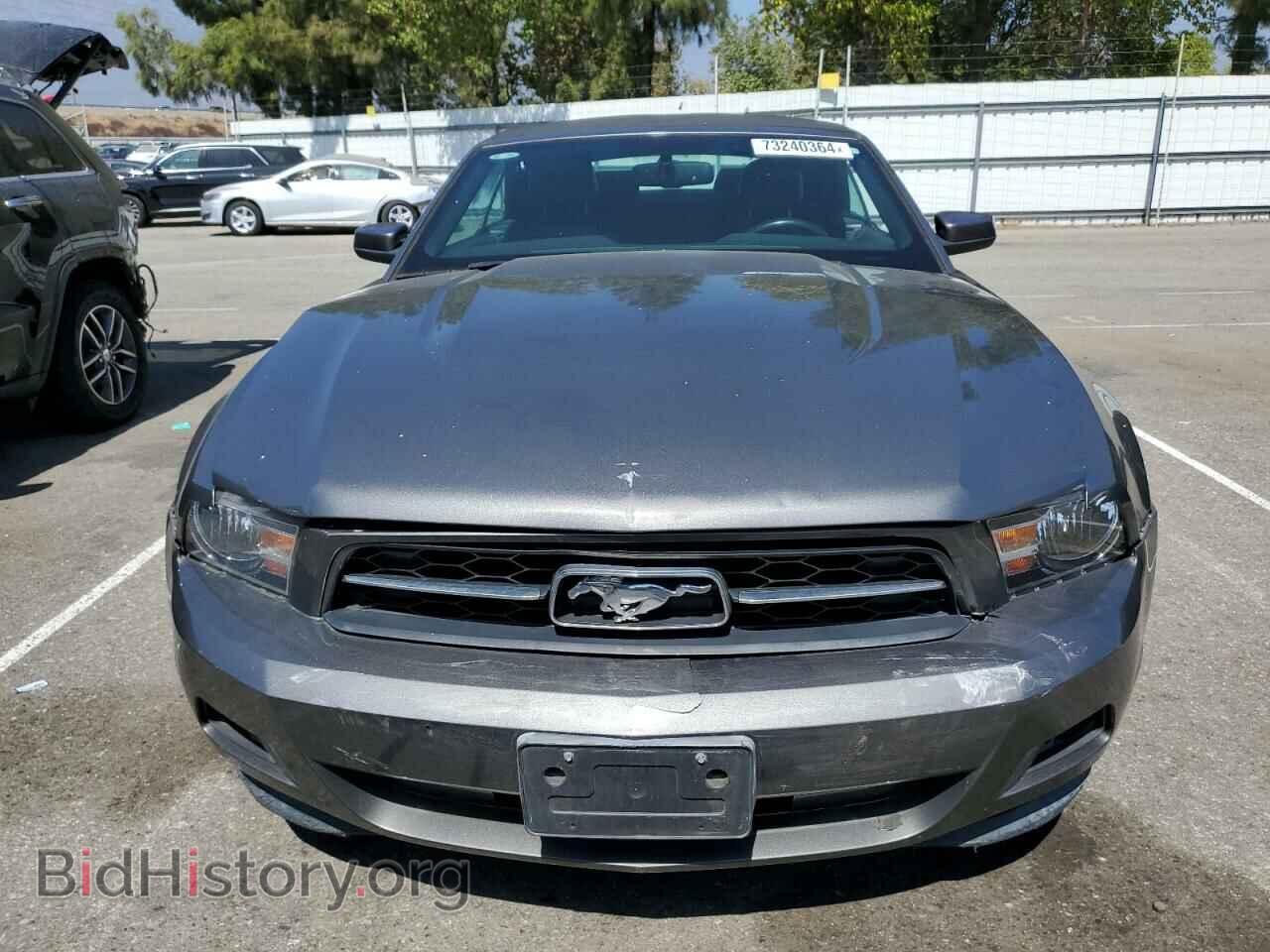 2011 FORD ALL Models - VIN: 1ZVBP8EM9B5131767 - Фото 5
