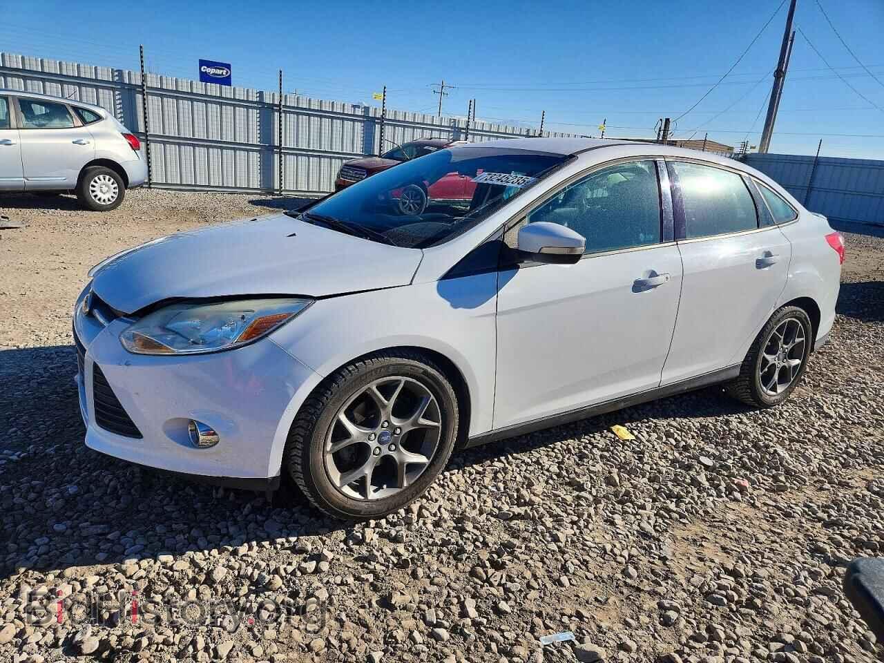 Photo 1FADP3F24DL314140 - FORD FOCUS 2013