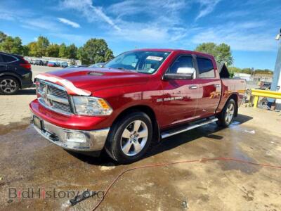 2012 Dodge RAM 1500 SLT, темно-бордовый — VIN 1C6RD6LT0CS117730, Copart