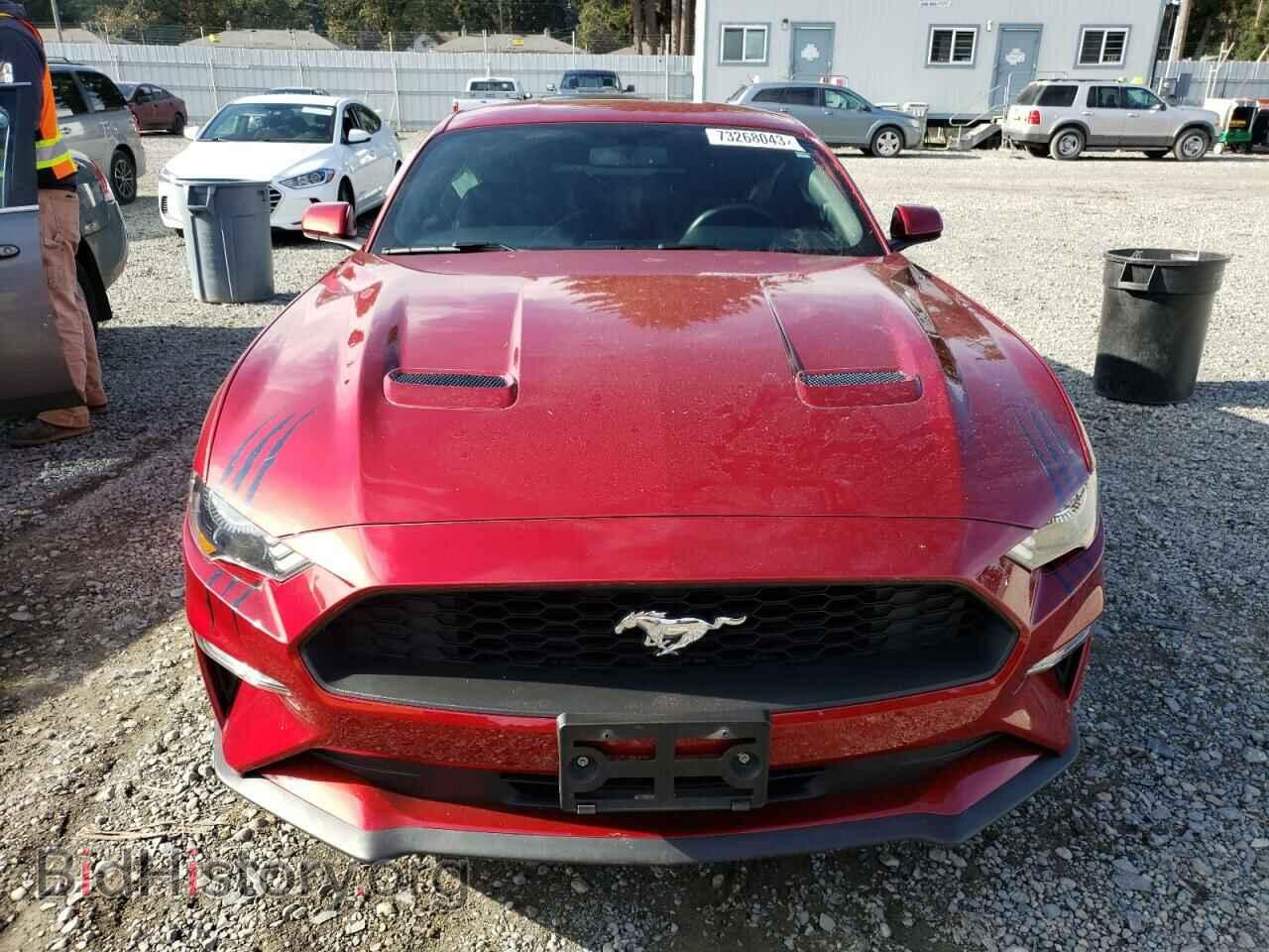 2019 FORD ALL Models - VIN: 1FA6P8TH1K5119368 - Фото 5