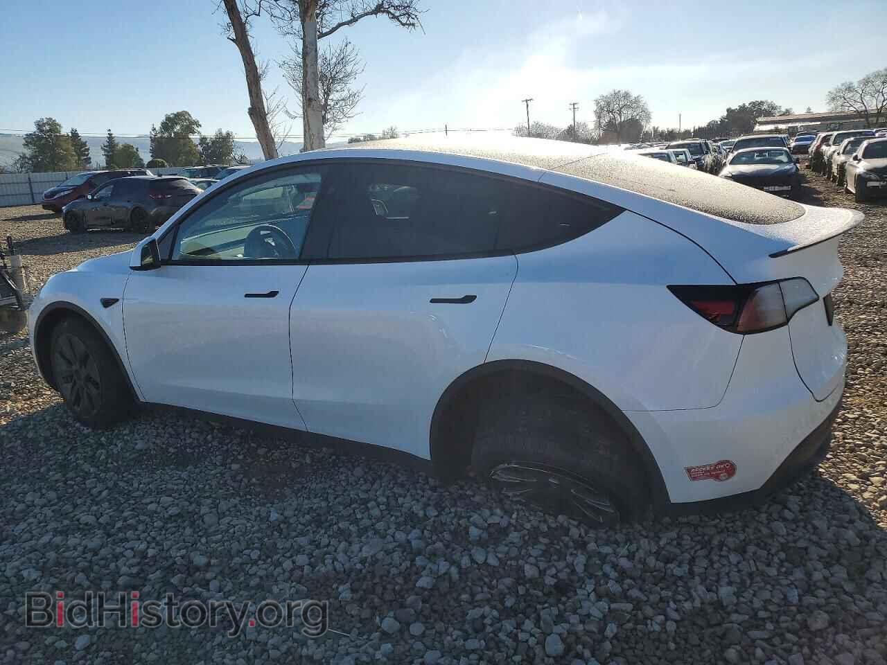 2024 TESLA MODEL Y - VIN: 7SAYGDEE7RF190505 - Фото 2