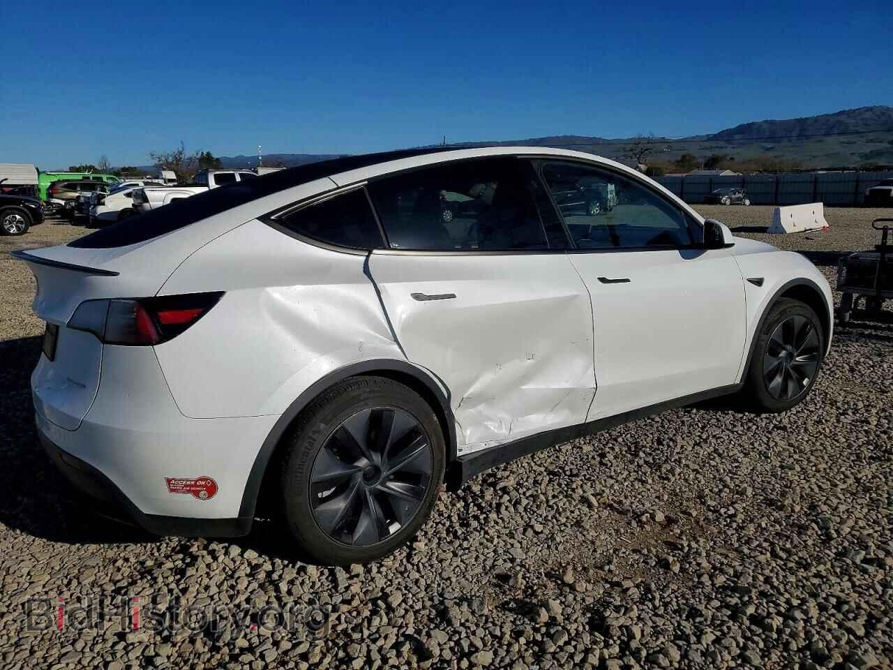 2024 TESLA MODEL Y - VIN: 7SAYGDEE7RF190505 - Фото 3