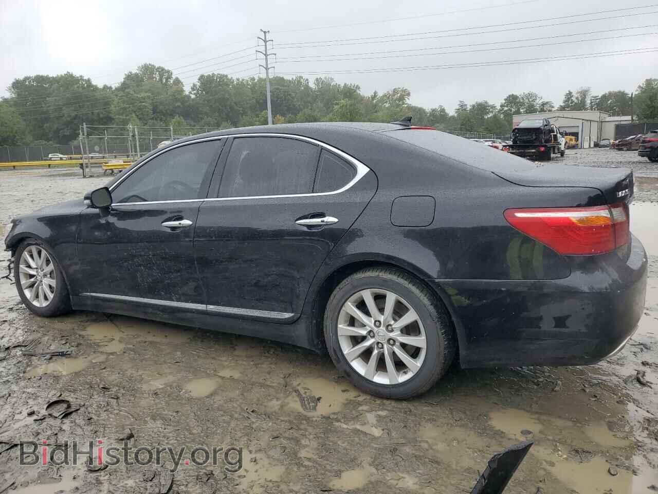 2010 LEXUS LS460 - VIN: JTHCL5EF8A5006484 - Фото 2