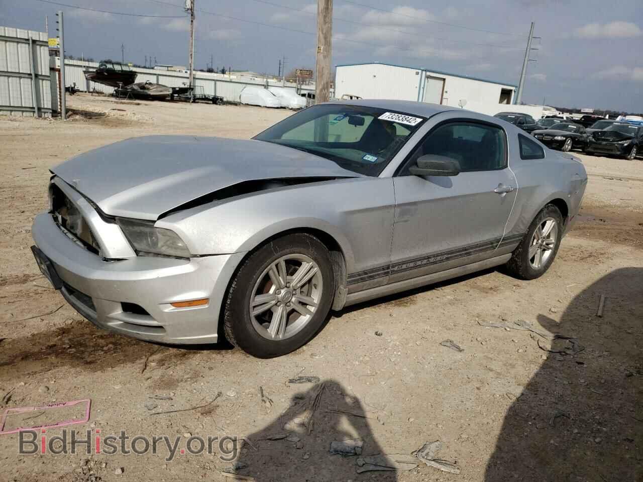 Фотография 1ZVBP8AM3D5281852 - FORD MUSTANG 2013