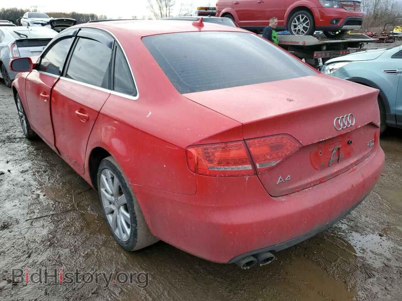 2011 AUDI A4 - VIN: WAUFFAFLXBN013468 - Фото 2