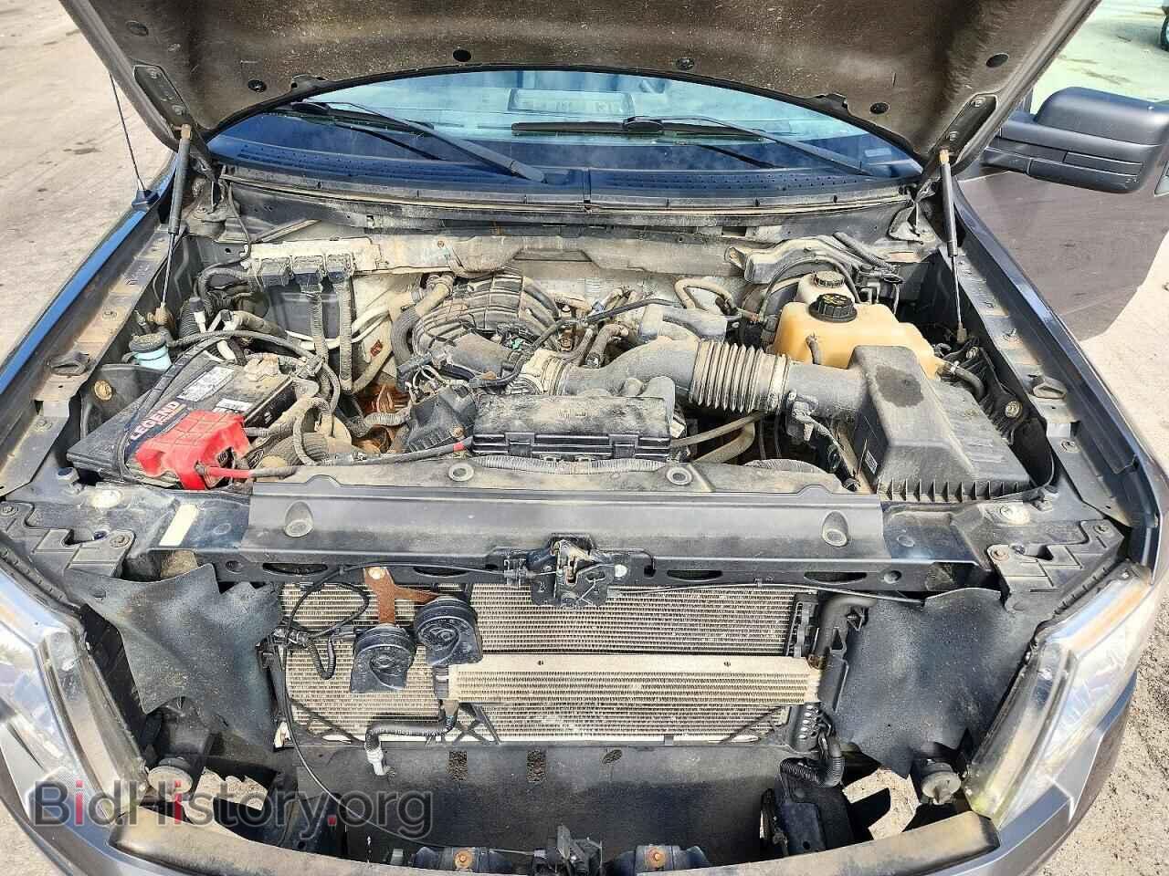 2013 FORD F150 - VIN: 1FTMF1EM7DKD44193 - Фото 11