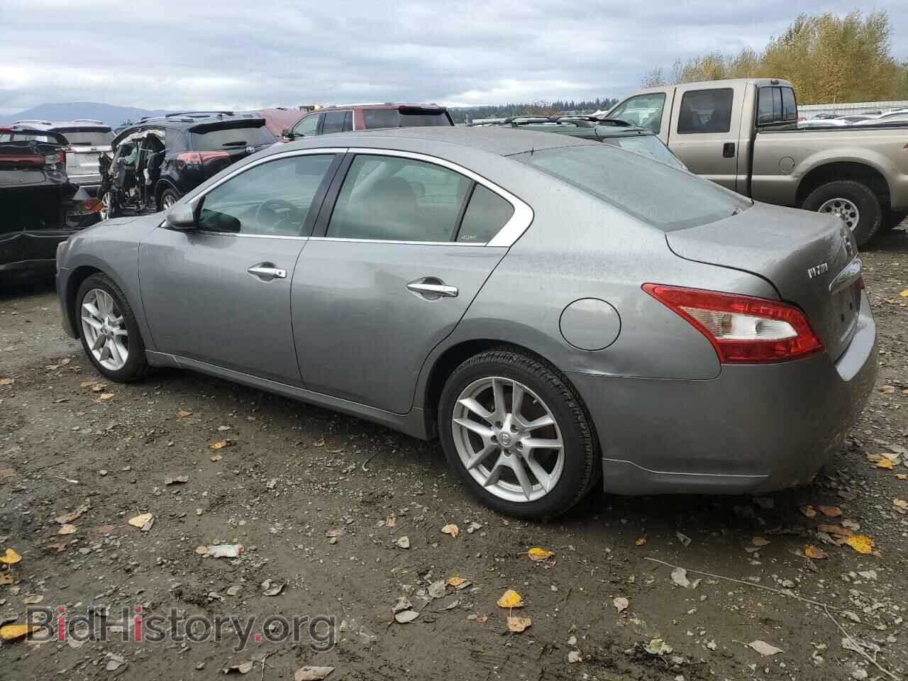 2009 NISSAN MAXIMA - VIN: 1N4AA51E39C853275 - Фото 2