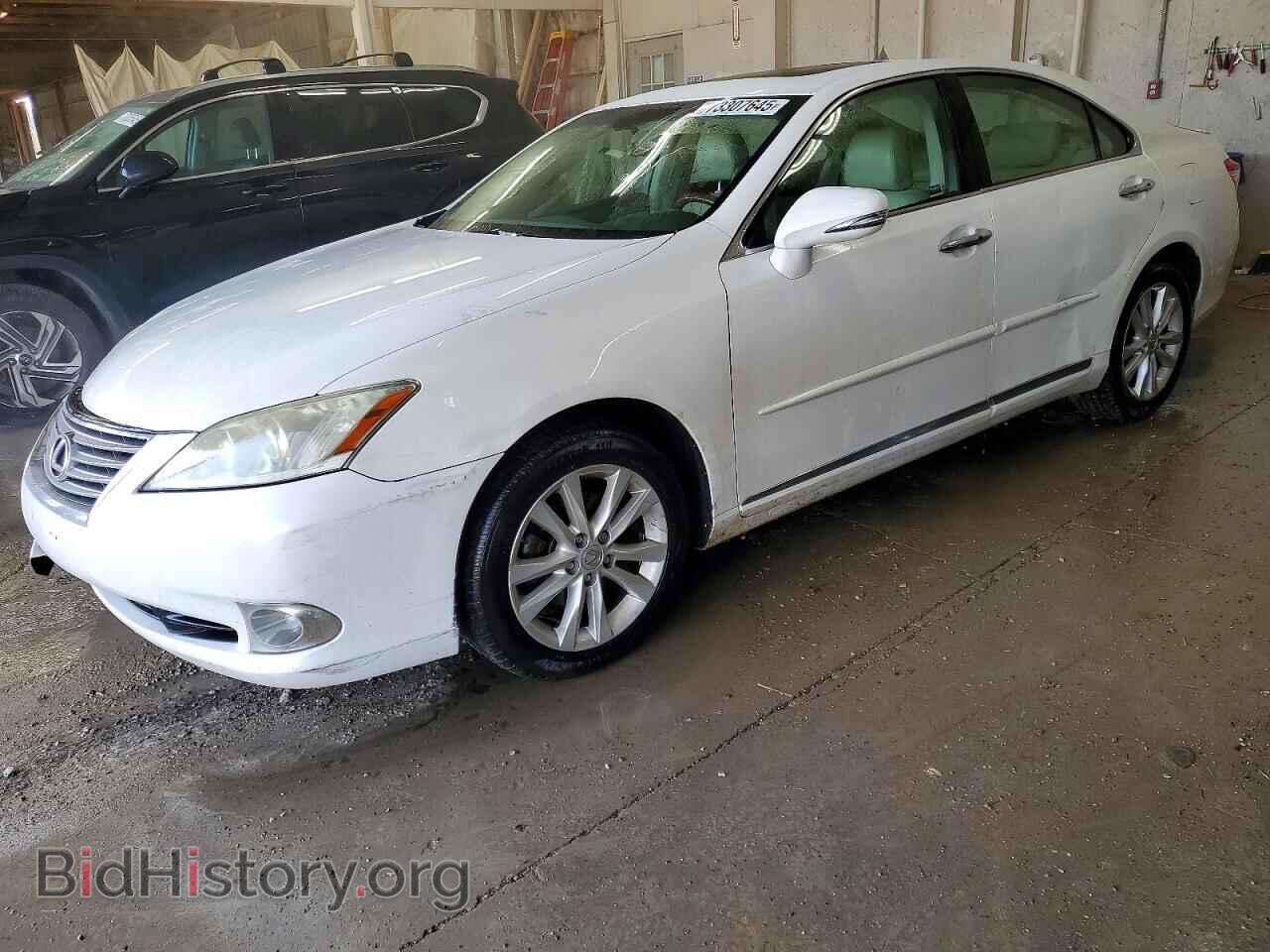 Фотография JTHBK1EG0A2394733 - LEXUS ES350 2010