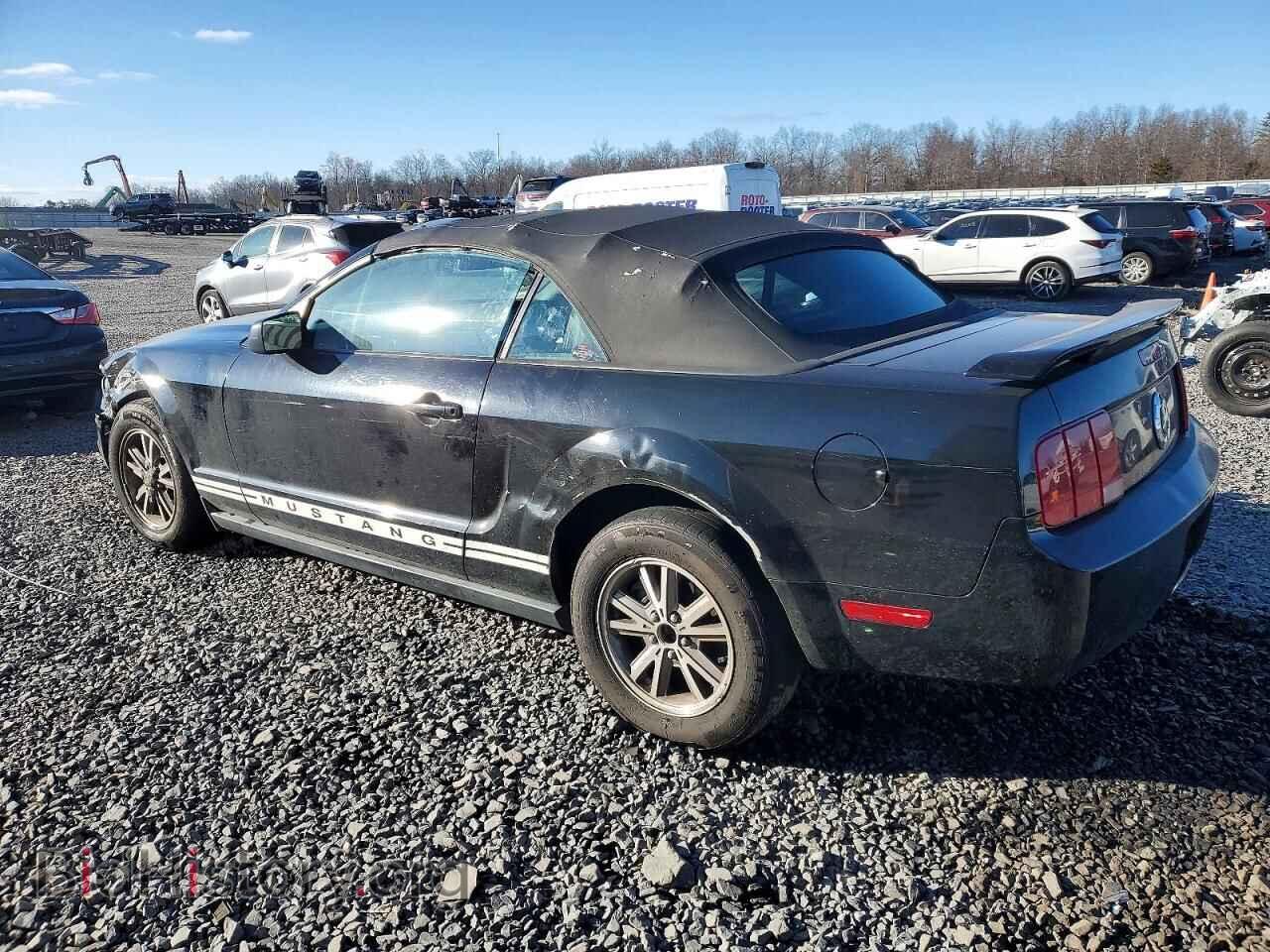 2005 FORD ALL Models - VIN: 1ZVFT84N855255041 - Photo 2