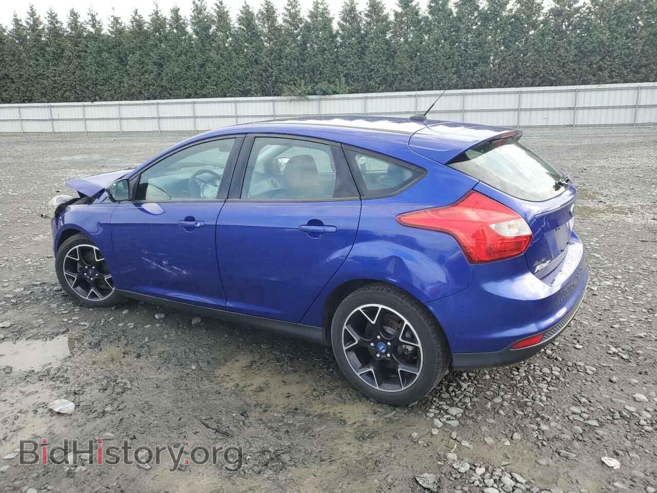 2013 FORD FOCUS - VIN: 1FADP3K2XDL206563 - Фото 2