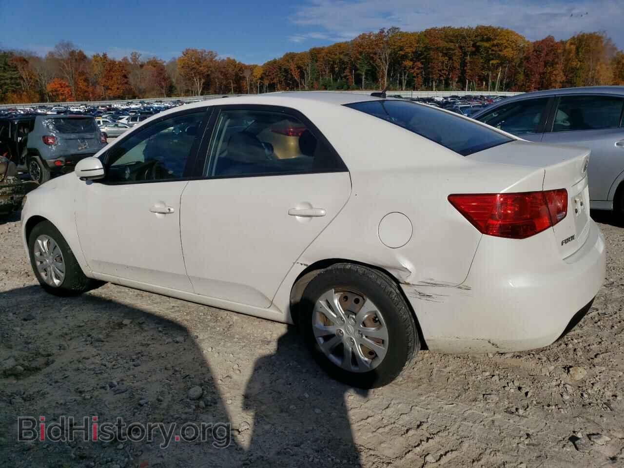 2012 KIA FORTE - VIN: KNAFU4A28C5588028 - Фото 2