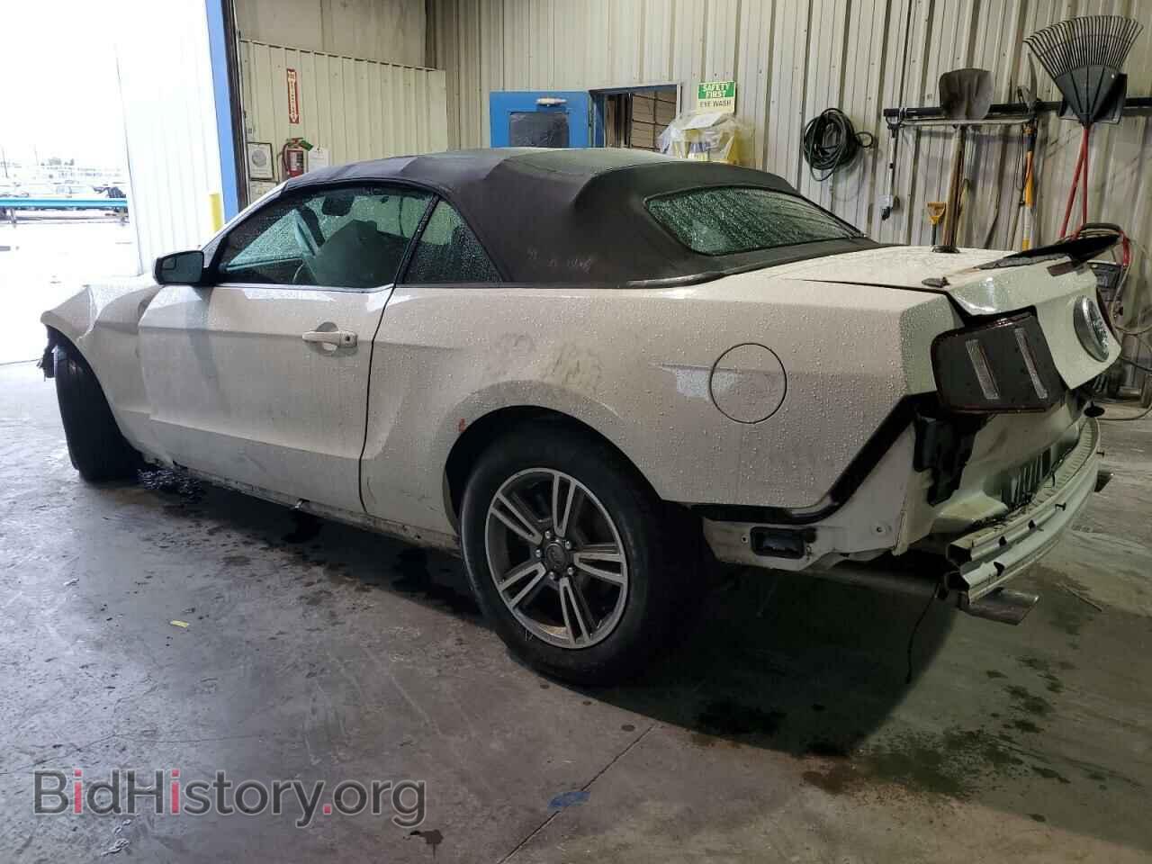 2012 FORD ALL Models - VIN: 1ZVBP8EM0C5220516 - Фото 2