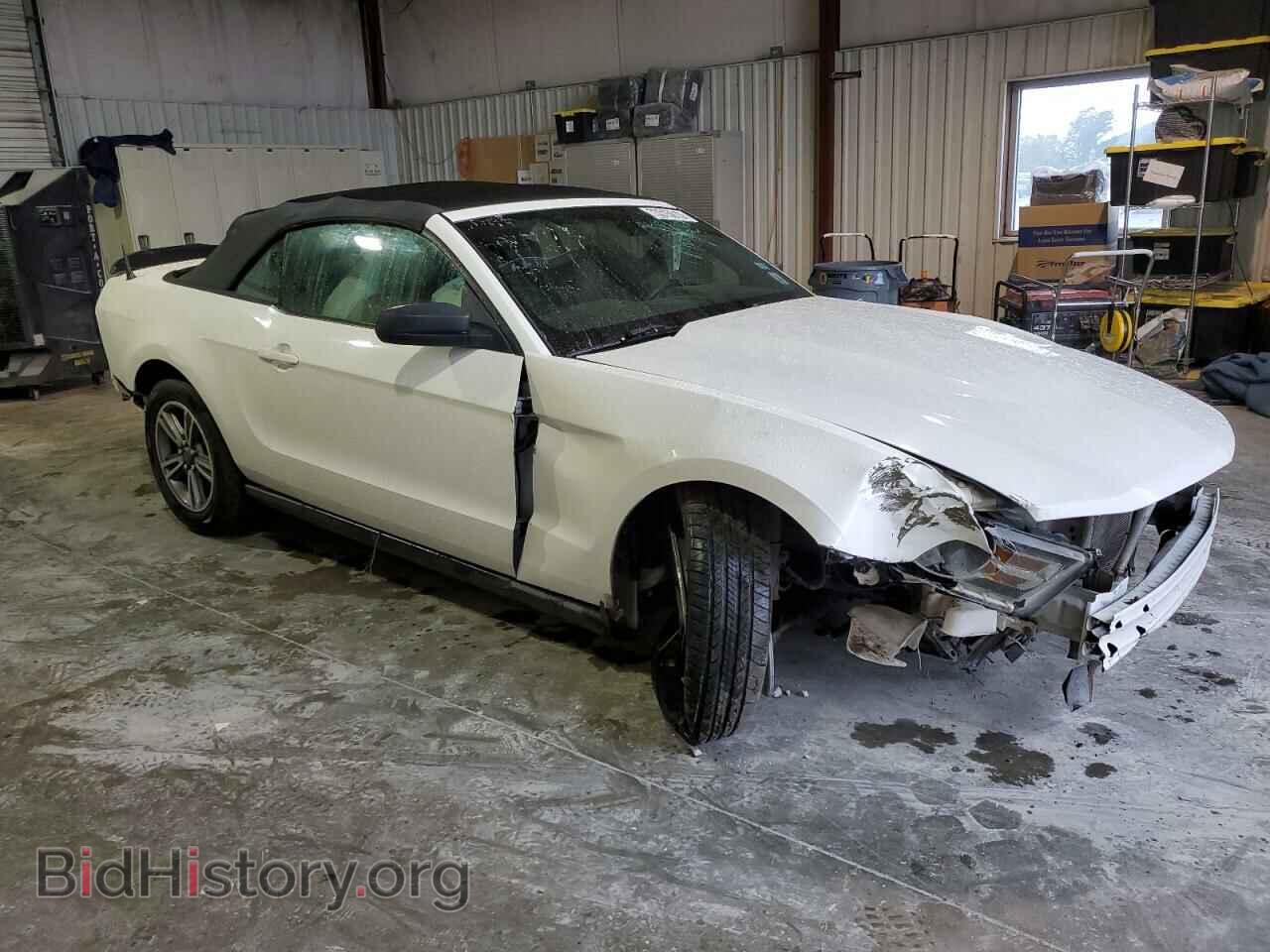 2012 FORD ALL Models - VIN: 1ZVBP8EM0C5220516 - Фото 4