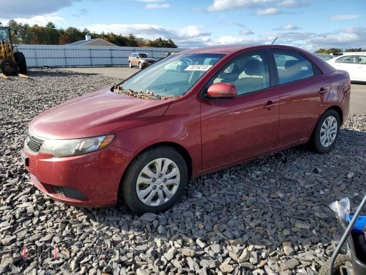 Фотография KNAFU4A24B5414567 - KIA FORTE 2011