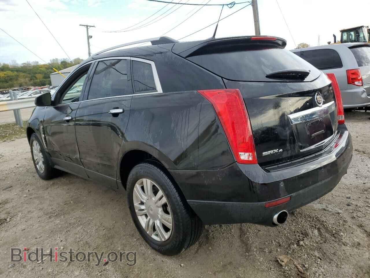 2010 CADILLAC SRX - VIN: 3GYFNDEY5AS509040 - Фото 2