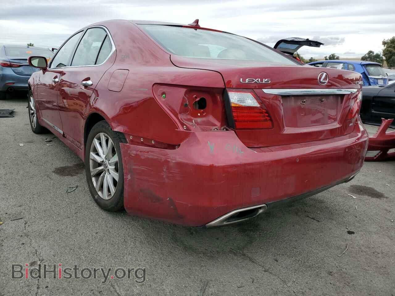 2010 LEXUS LS460 - VIN: JTHCL5EF2A5005962 - Фото 2
