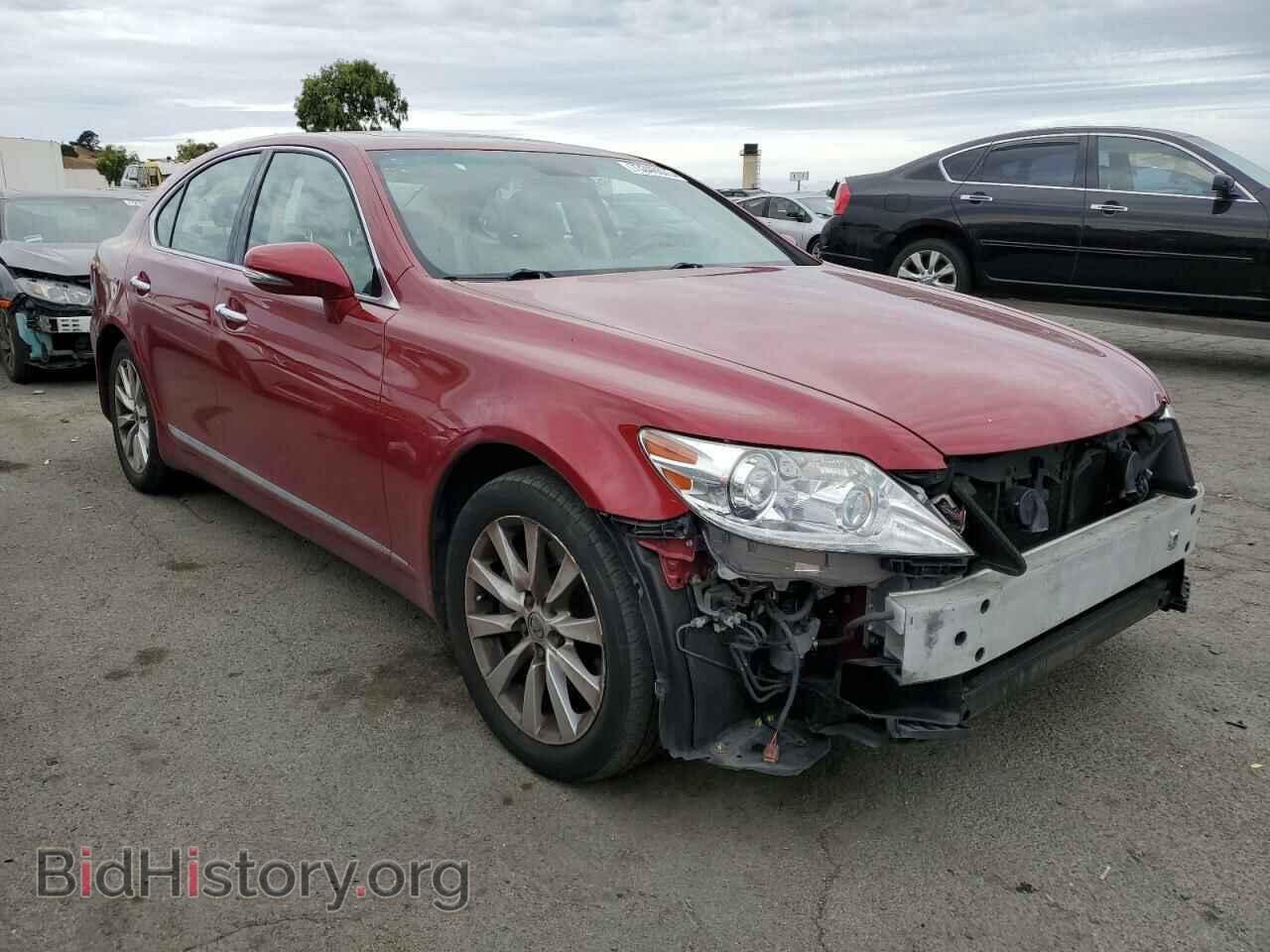 2010 LEXUS LS460 - VIN: JTHCL5EF2A5005962 - Фото 4