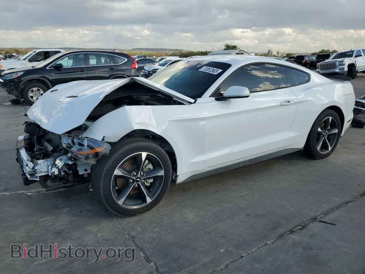 Фотография 1FA6P8TH8P5108553 - FORD ALL Models 2023