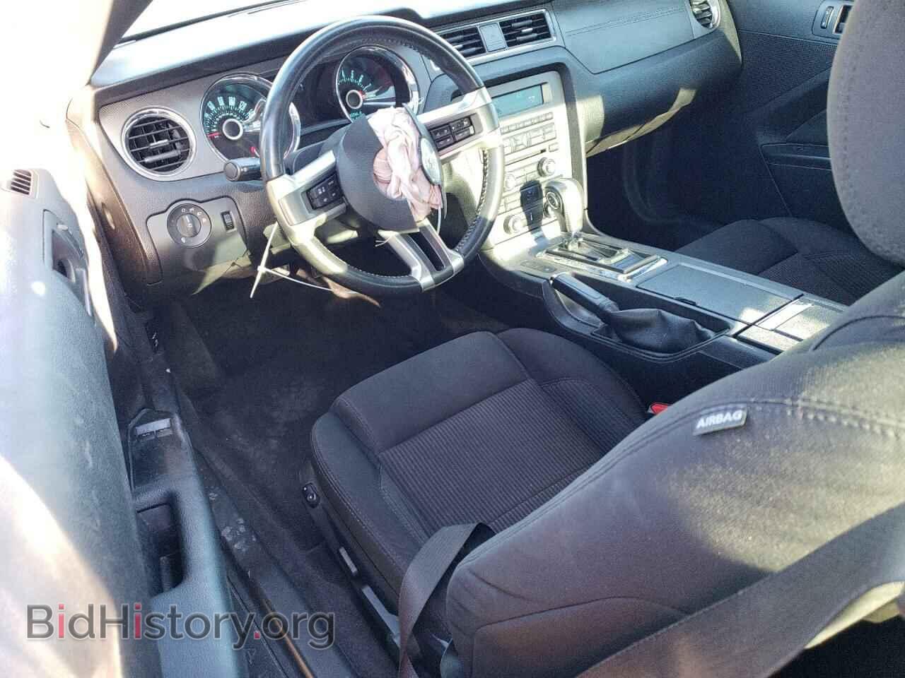 2013 FORD MUSTANG - VIN: 1ZVBP8CF6D5231803 - Фото 8