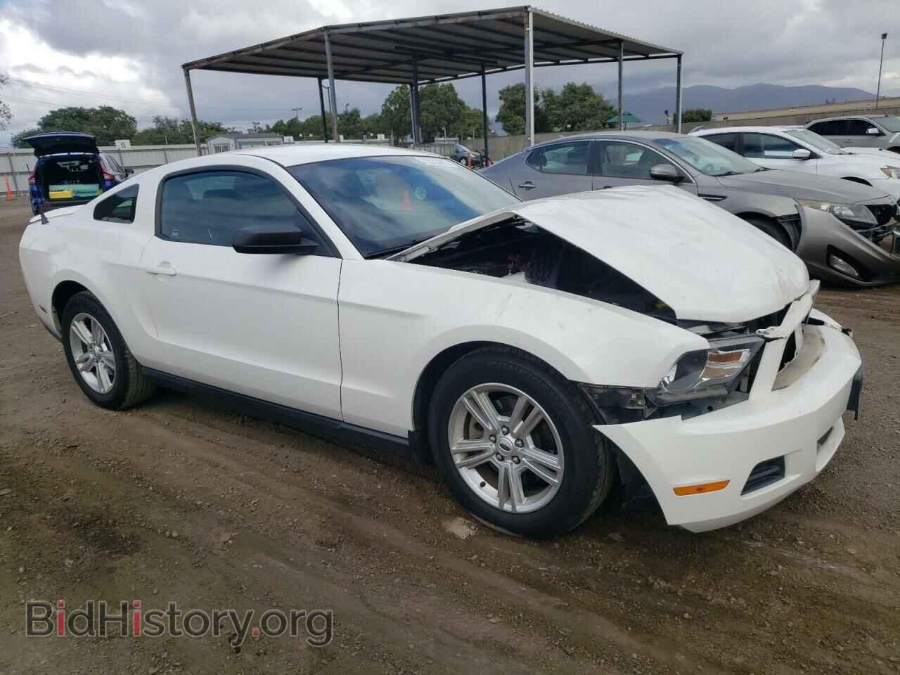 2012 FORD ALL Models - VIN: 1ZVBP8AM8C5243869 - Фото 4