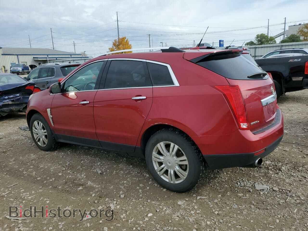 2010 CADILLAC SRX - VIN: 3GYFNDEY3AS583024 - Фото 2