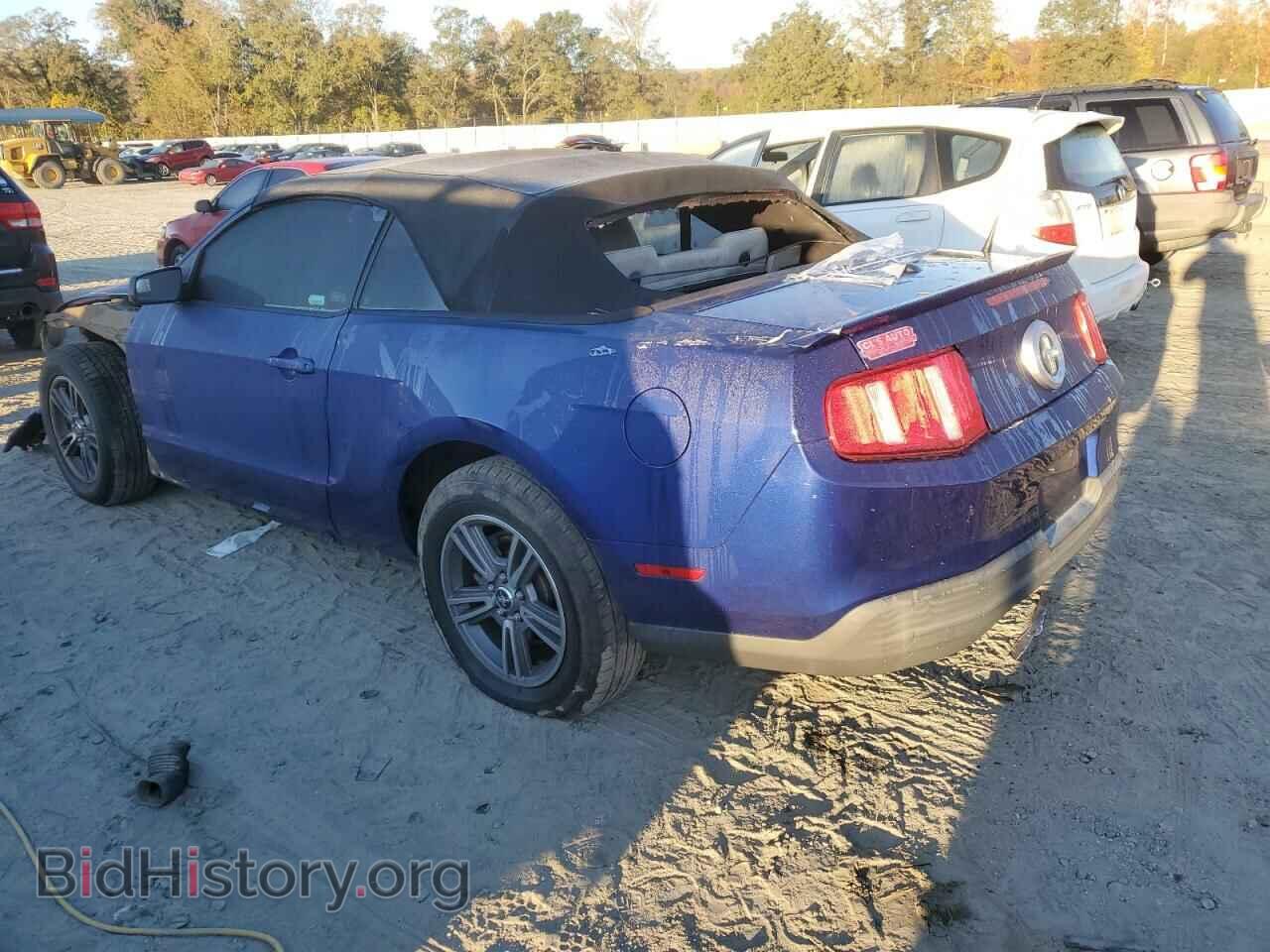 2010 FORD ALL Models - VIN: 1ZVBP8EN1A5170201 - Фото 2