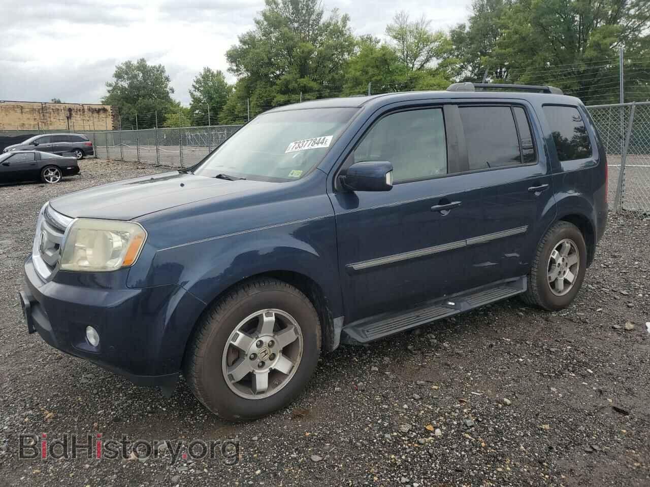 Фотография 5FNYF48859B051303 - HONDA PILOT 2009
