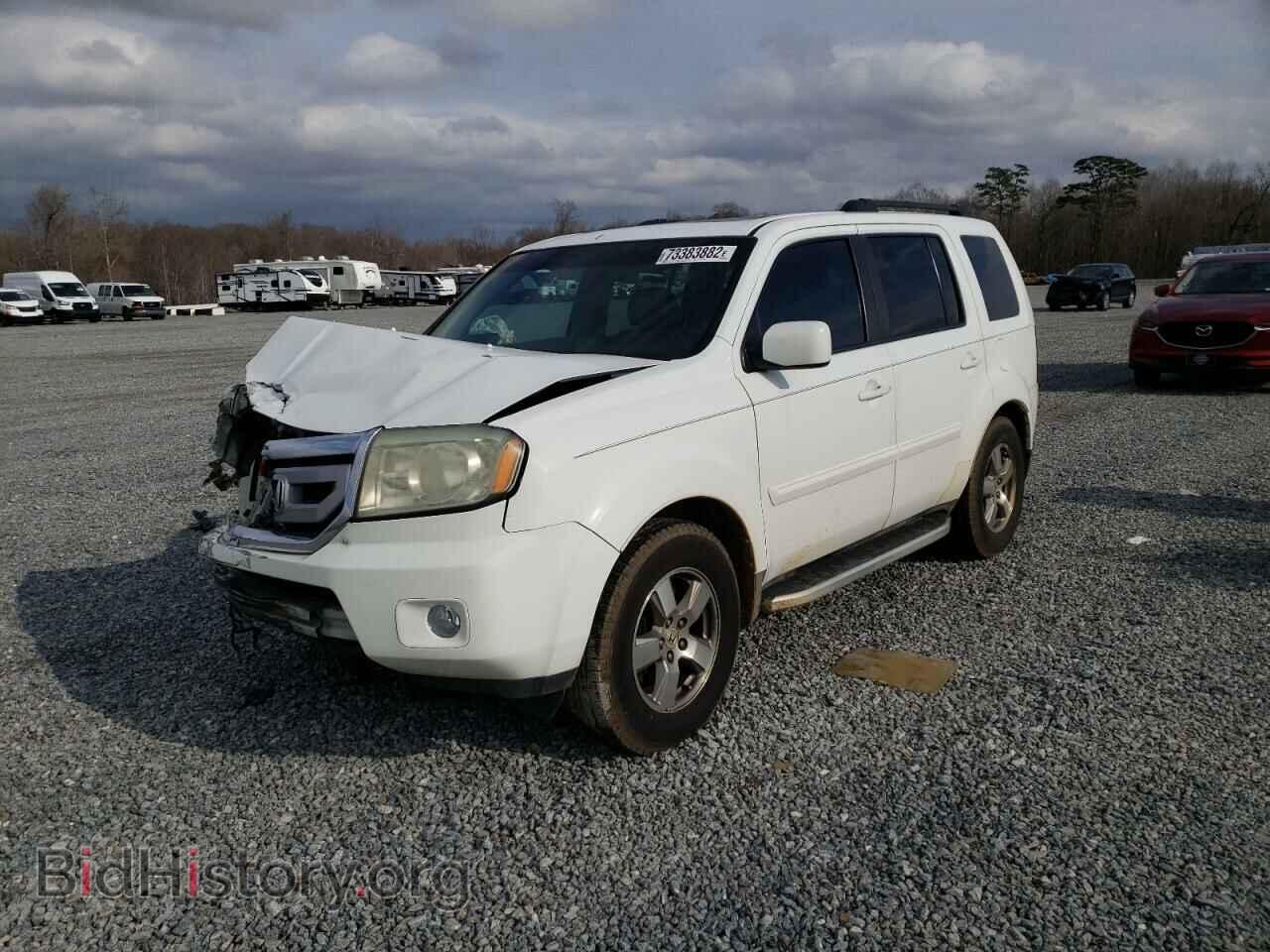 Фотография 5FNYF38519B015169 - HONDA PILOT 2009