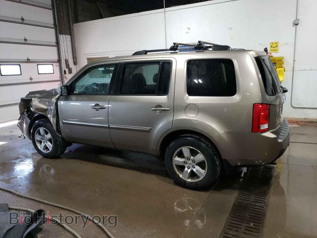 2009 HONDA PILOT - VIN: 5FNYF48509B041994 - Фото 2