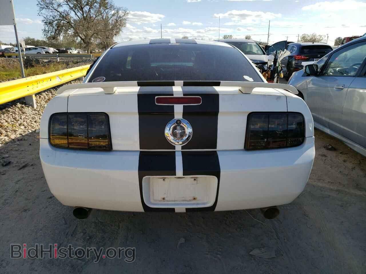 2006 FORD MUSTANG - VIN: 1ZVFT80N665191783 - Фото 6