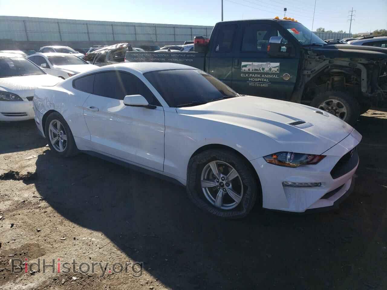 2020 FORD ALL Models - VIN: 1FA6P8TH3L5181677 - Photo 4