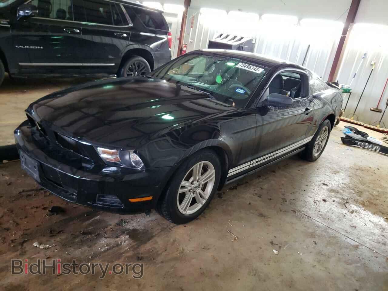 Photo 1ZVBP8AN3A5113584 - FORD MUSTANG 2010