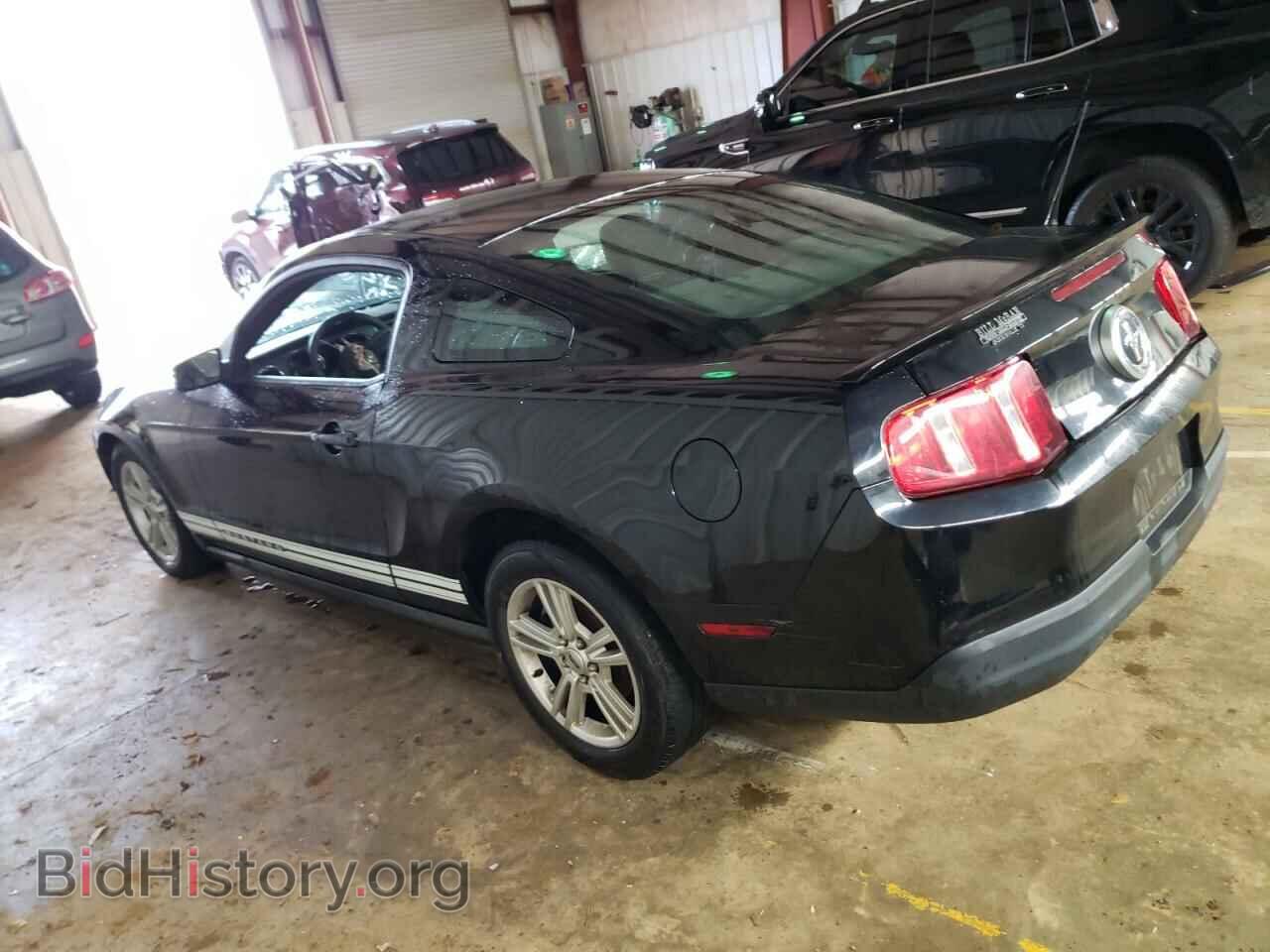 2010 FORD MUSTANG - VIN: 1ZVBP8AN3A5113584 - Фото 2